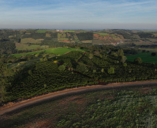  JANDAIA DO SUL - UFPR 