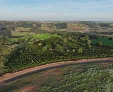  JANDAIA DO SUL - UFPR 