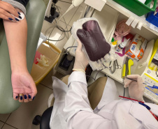 Saúde inicia campanha “Doe Sangue Pelo Esporte” em parceria com a Prefeitura de Curitiba e times de futebol paranaenses