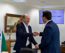 GOVERNADOR
