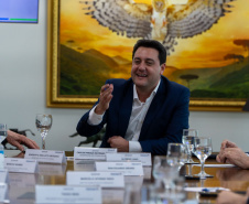 GOVERNADOR