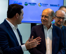 GOVERNADOR