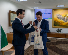 GOVERNADOR