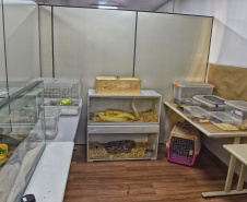 IAT ANIMAIS FAUNA SILVESTRE RESGATADOS