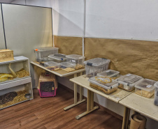 IAT ANIMAIS FAUNA SILVESTRE RESGATADOS