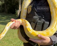 PCPR deflagra operação para desarticular um dos maiores grupos de tráfico internacional de animais do País