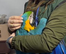 PCPR deflagra operação para desarticular um dos maiores grupos de tráfico internacional de animais do País