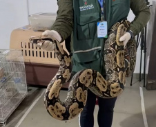 PCPR deflagra operação para desarticular um dos maiores grupos de tráfico internacional de animais do País