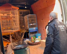 PCPR deflagra operação para desarticular um dos maiores grupos de tráfico internacional de animais do País