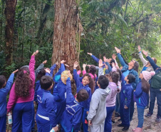 Educação ambiental no Litoral