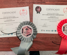 IDR Prêmio Queijos Paraná - Dos 65 premiados, 27 são assistidos pelo IDR-Paraná