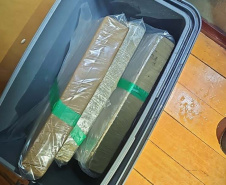 PCPR desarticula grupo investigado por tráfico interestadual de drogas no Oeste do Estado