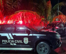 PCPR desarticula grupo investigado por tráfico interestadual de drogas no Oeste do Estado