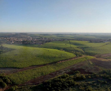 "Feito no Paraná" visita a Usina Bandeirantes: Uma Jornada pela Produção de Açúcar e Álcool