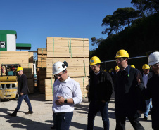 GOVERNADOR