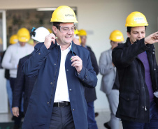 GOVERNADOR
