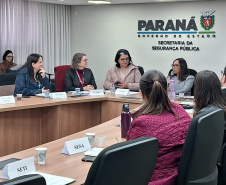 Paraná terá Plano de Metas para o enfrentamento da violência contra as mulheres