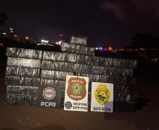 Ação integrada entre PMPR, PCPR e PF apreende mais de meia tonelada de maconha em Foz do Iguaç