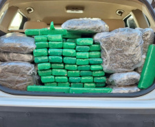 Ação integrada entre PMPR, PCPR e PF apreende mais de meia tonelada de maconha em Foz do Iguaç