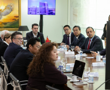 GOVERNADOR XBRI Pneus