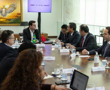 GOVERNADOR XBRI Pneus