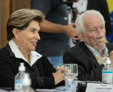 GOVERNADOR XBRI Pneus