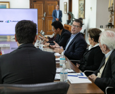 GOVERNADOR XBRI Pneus