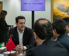 GOVERNADOR XBRI Pneus