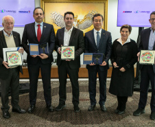 GOVERNADOR XBRI Pneus