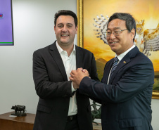 GOVERNADOR XBRI Pneus