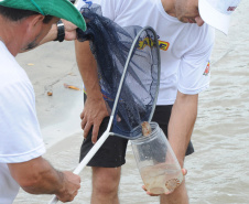 Saúde alerta para cuidados com queimaduras por águas-vivas. Foto: Venilton Kuchler/ Arquivo SESA