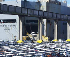 O Corredor de Exportação do Porto de Paranaguá movimentou, neste ano, 20% mais cargas que em janeiro de 2018.  Juntos, os granéis farelo, trigo, soja e milho somaram 1,87 milhão de tonelada exportada. O maior destaque foi na movimentação da soja: 575.570 toneladas do grão exportadas no primeiro mês de 2019.  -  Paranaguá, 11/02/2019  -  Foto: Arquivo APPA