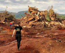 Equipe do Paraná durante resgates em Brumadinho (MG). Foto: Divulgação/ANPr