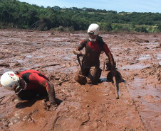 Bombeiros de Operações Terrestres do Grupo de Operações de Socorro Tático (GOST) do Corpo de Bombeiros do Paraná, participam das buscas de vítimas do rompimento da barragem do Córrego do Feijão, em Brumadinho.   -  Curitiba, 18/02/2019  -  Foto: Divulgação Corpo de Bombeiros do Paraná