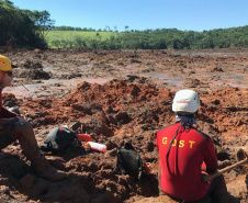 Bombeiros de Operações Terrestres do Grupo de Operações de Socorro Tático (GOST) do Corpo de Bombeiros do Paraná, participam das buscas de vítimas do rompimento da barragem do Córrego do Feijão, em Brumadinho.   -  Curitiba, 18/02/2019  -  Foto: Divulgação Corpo de Bombeiros do Paraná