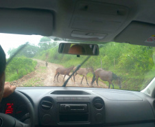Equipe da secretaria da Saúde percorre as áreas mais remotas do município de Adrianópolis em busca de pessoas não vacinadas contra a febre amarela.  Adrianópolis, 28/02/2019  -  Foto: Divulgação SESA