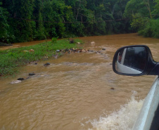 Equipe da secretaria da Saúde percorre as áreas mais remotas do município de Adrianópolis em busca de pessoas não vacinadas contra a febre amarela.  Adrianópolis, 28/02/2019  -  Foto: Divulgação SESA