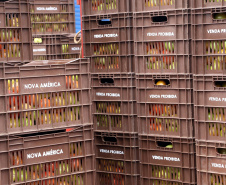 Por meio do Banco de Alimentos da Ceasa, hortigranjeiros são reaproveitados anualmente, evitando o desperdício e garantindo a segurança alimentar de cerca de 194 mil pessoas.Foto: Gilson Abreu/ANPr