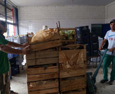 Por meio do Banco de Alimentos da Ceasa, hortigranjeiros são reaproveitados anualmente, evitando o desperdício e garantindo a segurança alimentar de cerca de 194 mil pessoas.Foto: Gilson Abreu/ANPr