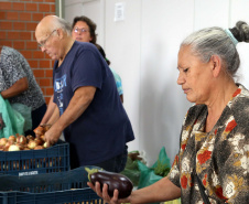 Por meio do Banco de Alimentos da Ceasa, hortigranjeiros são reaproveitados anualmente, evitando o desperdício e garantindo a segurança alimentar de cerca de 194 mil pessoas.Foto: Gilson Abreu/ANPr
