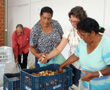 Por meio do Banco de Alimentos da Ceasa, hortigranjeiros são reaproveitados anualmente, evitando o desperdício e garantindo a segurança alimentar de cerca de 194 mil pessoas.Foto: Gilson Abreu/ANPr