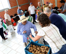 Por meio do Banco de Alimentos da Ceasa, hortigranjeiros são reaproveitados anualmente, evitando o desperdício e garantindo a segurança alimentar de cerca de 194 mil pessoas.Foto: Gilson Abreu/ANPr