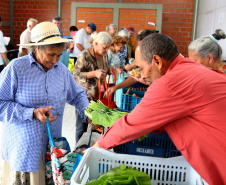 Por meio do Banco de Alimentos da Ceasa, hortigranjeiros são reaproveitados anualmente, evitando o desperdício e garantindo a segurança alimentar de cerca de 194 mil pessoas.Foto: Gilson Abreu/ANPr