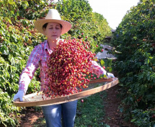 Rosana de Azevedo Felet, cafeicultora e coordenadora do projeto Mulheres do Café de Carlópolis  -  Foto: Arquvi Pessoal