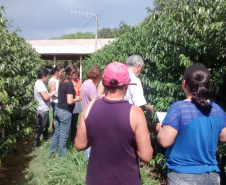 Reunião com grupo de Carlópolis - manejo de pragas e doenças. - Foto: Emater