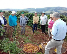 Cafeicultoras de Carlópolis e Tomazina, no Norte Pioneiro do Paraná, estão exportando o café especial que produzem na região. A venda das 460 primeiras sacas do produto ao Japão e à Austrália, nos últimos dois anos, representou aumento na renda das famílias e também mais um passo do projeto Mulheres do Café, implantado pelo Instituto Paranaense de Assistência Técnica e Extensão Rural (Emater) na região.  Foto: Divulgação