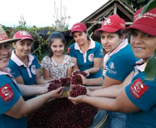 Cafeicultoras de Carlópolis e Tomazina, no Norte Pioneiro do Paraná, estão exportando o café especial que produzem na região. A venda das 460 primeiras sacas do produto ao Japão e à Austrália, nos últimos dois anos, representou aumento na renda das famílias e também mais um passo do projeto Mulheres do Café, implantado pelo Instituto Paranaense de Assistência Técnica e Extensão Rural (Emater) na região.  Foto: Divulgação