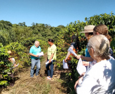 Reunião p´ratica de colheita no município de Ibaiti  -  Foto: Emater