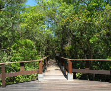 Parque Estadual Rio da Onças,Matinhos, 12-01-2012.Foto: Arnaldo Alves /ANPr