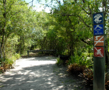 Parque Estadual Rio da Onças,Matinhos, 12-01-2012.Foto: Arnaldo Alves /ANPr